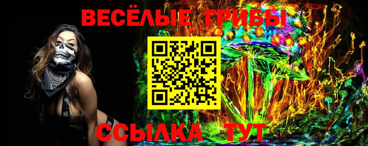 Псилоцибиновые грибы Cubensis Торжок