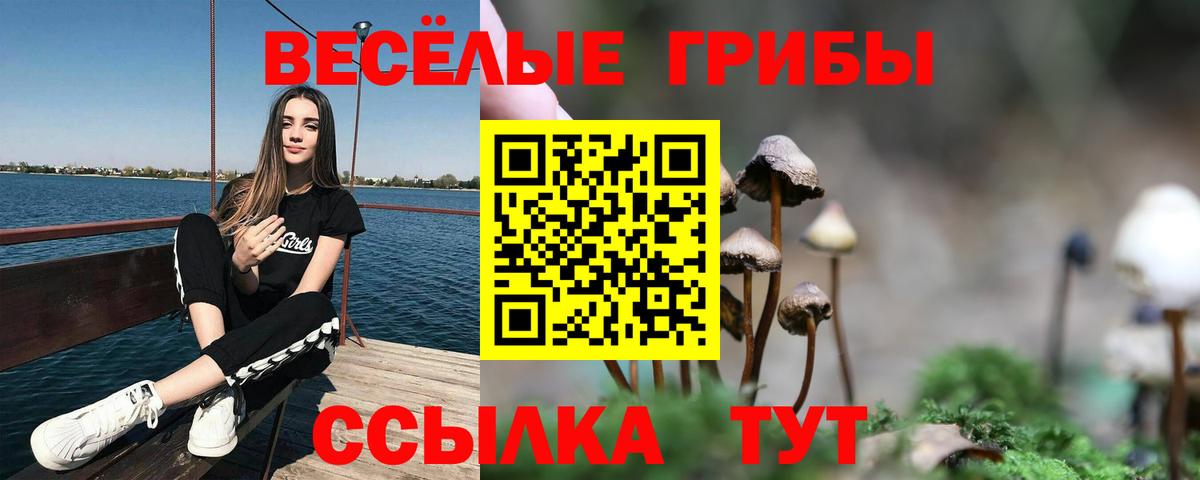 Галлюциногенные грибы Cubensis  Вход с VPN  Торжок 