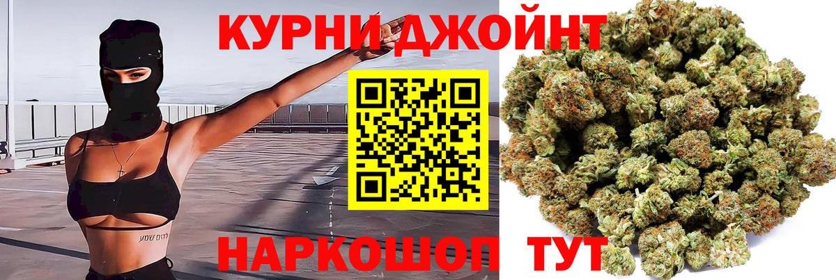 МЕФ Торжок